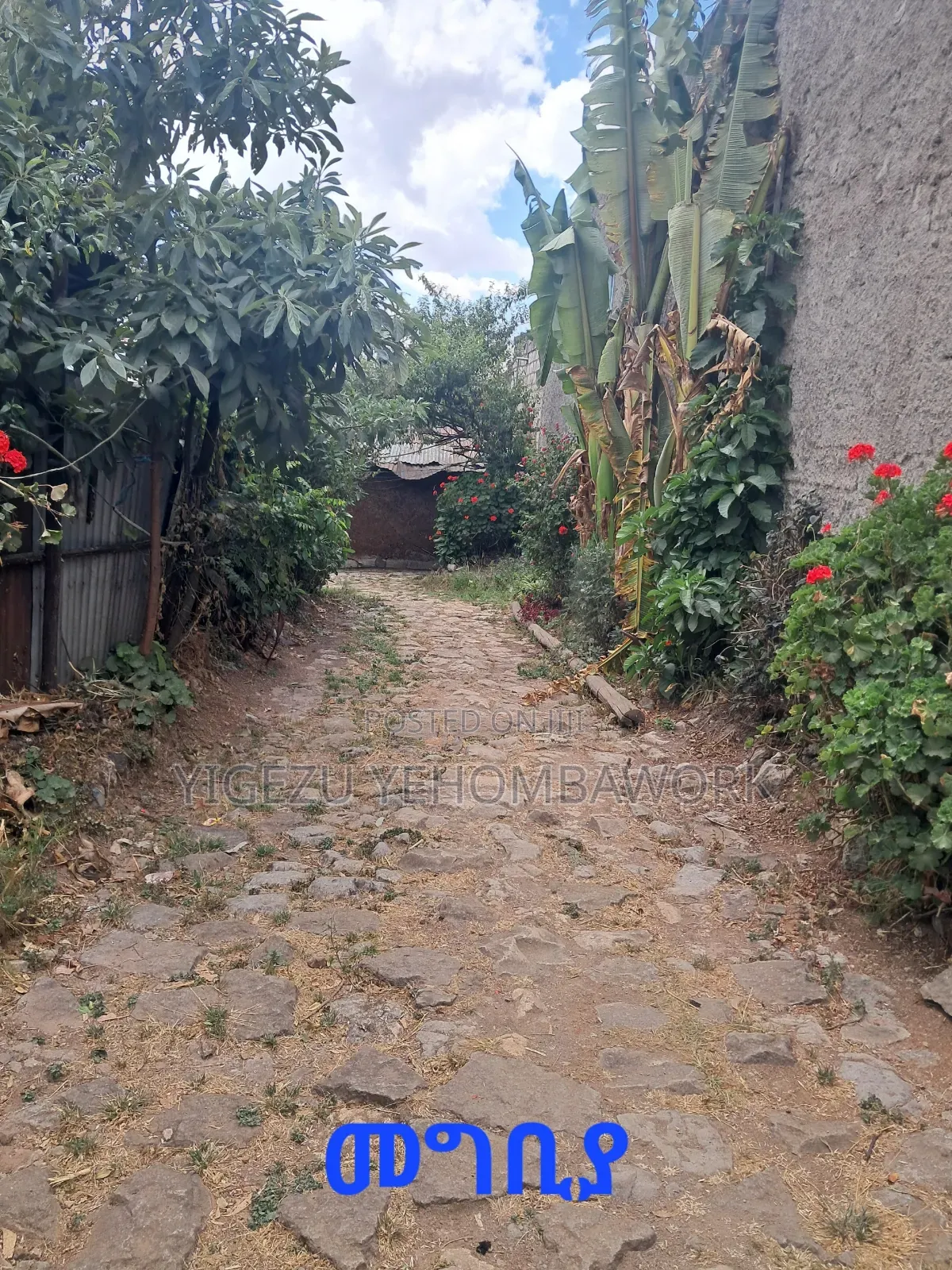 Land for Sale at Asco Gebreal (258sq M.) Gullele 05