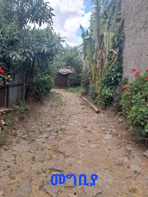 Land for Sale at Asco Gebreal (258sq M.) Gullele 05