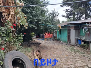 Land for Sale at Asco Gebreal (258sq M.) Gullele 05