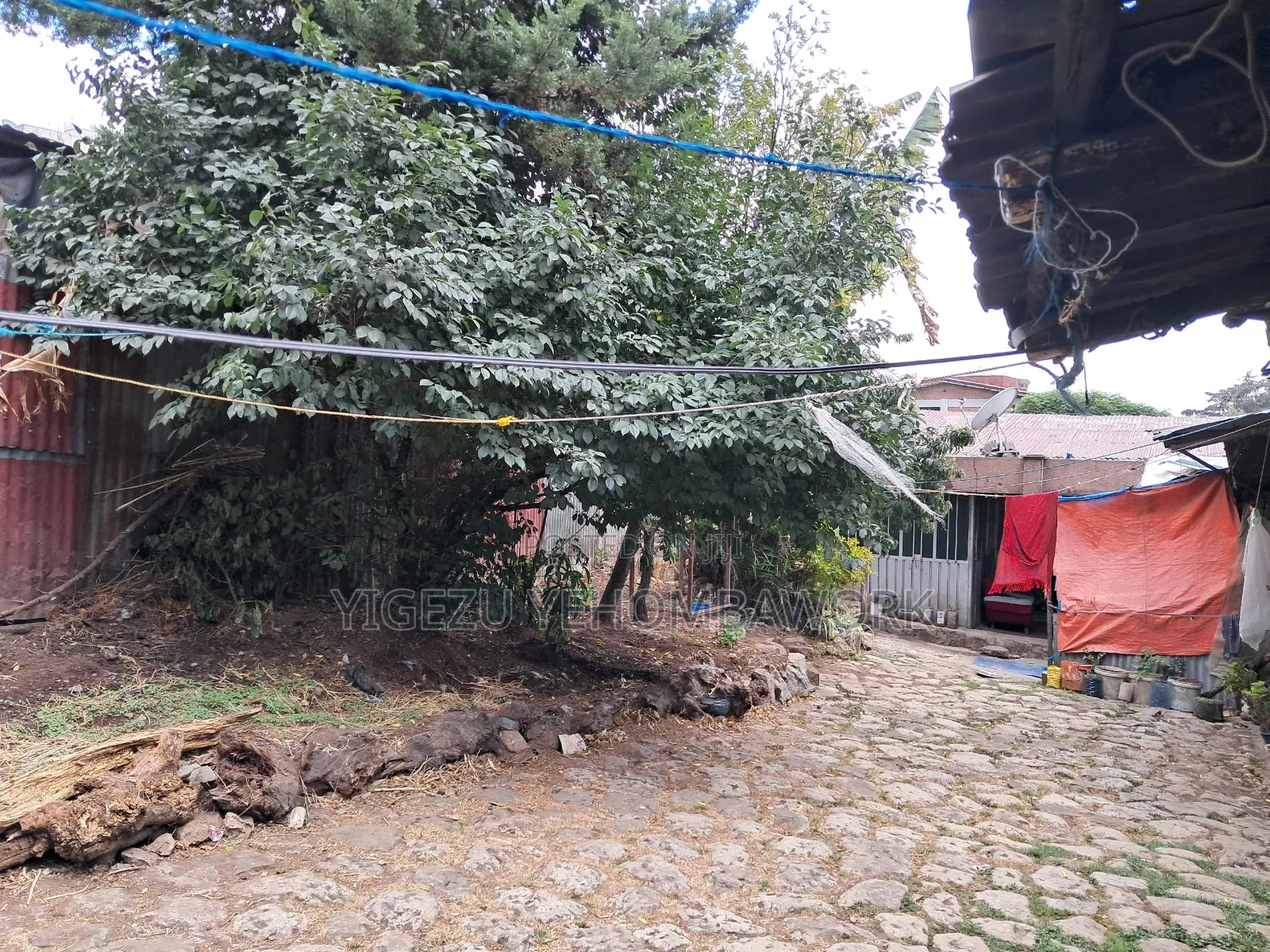 Land for Sale at Asco Gebreal (258sq M.) Gullele 05