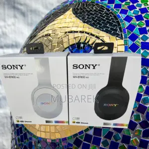 Photo - Sony Bt800 M3 Gentle Listening Pleasure