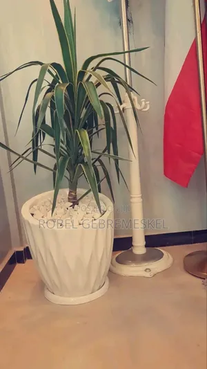 Home Decor Plant Pots