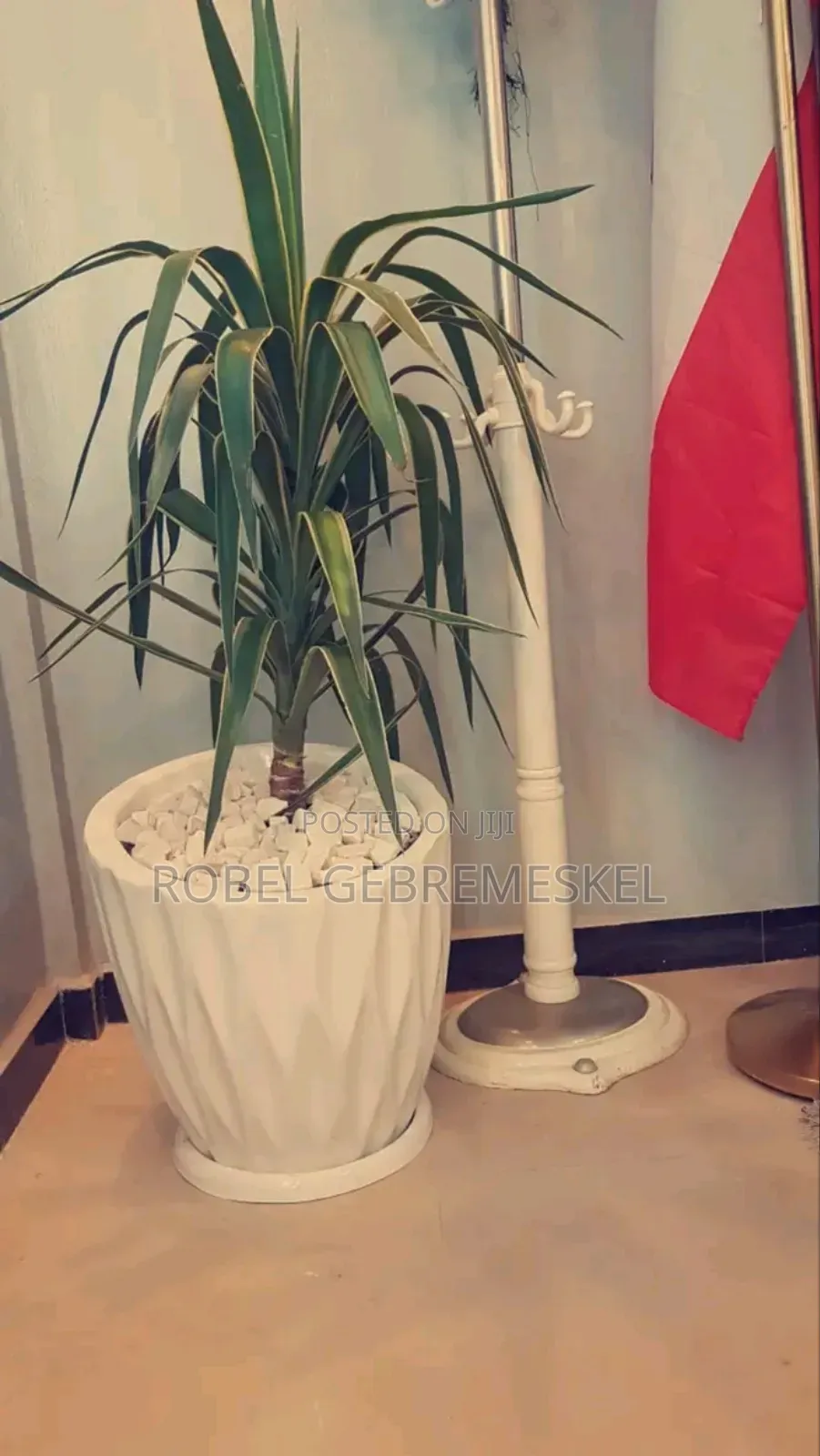 Home Decor Plant Pots