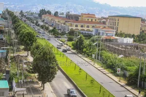 Furnished 6bdrm Duplex in ሲሲዲ  ጣፎ, Addis Ketema for sale