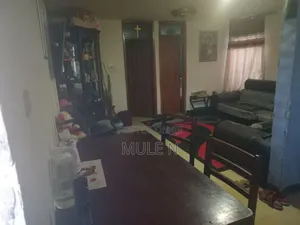 Furnished 3bdrm Condo in Shola Sumeya Mesigid, Yeka for sale