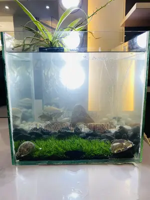 Photo - Aquarium (Fish Tank)