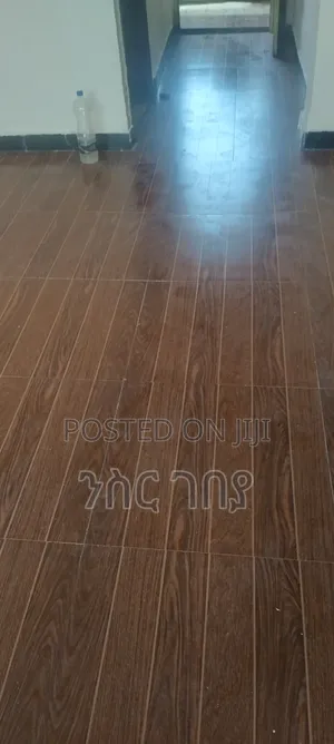 Furnished 1bdrm Condo in Ayat Tsebel, Yeka for rent