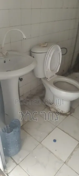 Furnished 1bdrm Condo in Ayat Tsebel, Yeka for rent