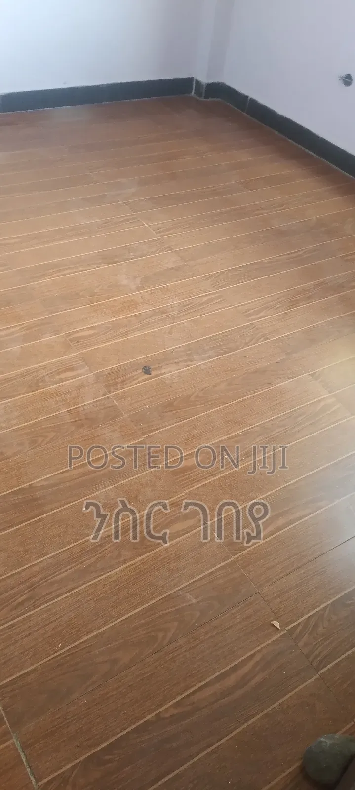 Furnished 1bdrm Condo in Ayat Tsebel, Yeka for rent