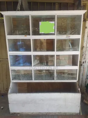 Photo - Eka Masekemechia