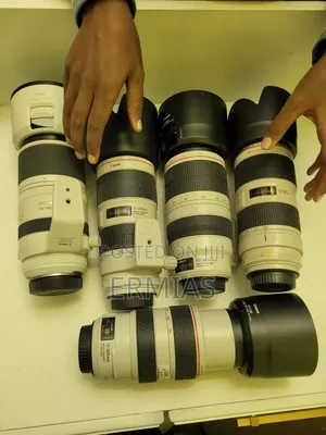 Photo - Zebra Lens 70-300iii