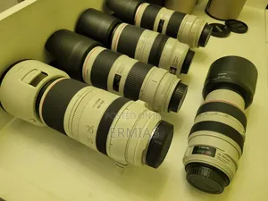 Zebra Lens 70-300iii