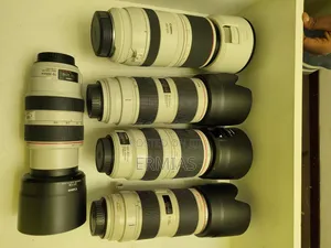 Zebra Lens 70-300iii