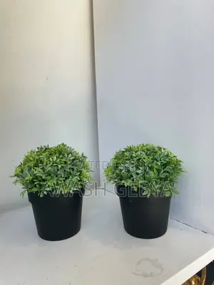 Photo - Artificial Grass Greenery Potted