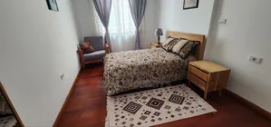 Furnished 3bdrm Apartment in Bole for rent
