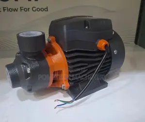 Photo - Leo Water Pump 0.5hp