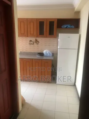 Furnished 2bdrm Condo in Kality Gebriel, Akaky Kaliti for sale
