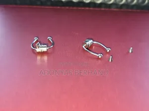 Photo - Fake Nose Piercings