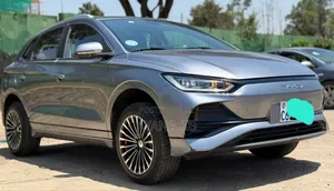 Photo - BYD E1 2024 Gray