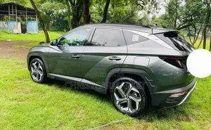 Hyundai Tucson Limited 2022 Green