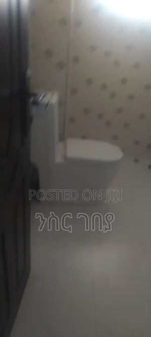 Furnished 2bdrm Condo in Ayat 49, 40/60, Yeka for rent