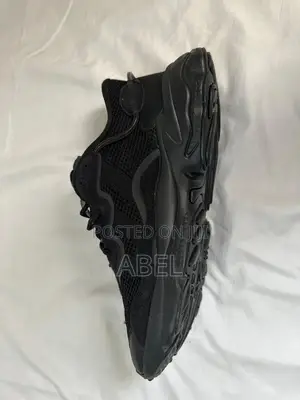 Brand New Addidas Shoes