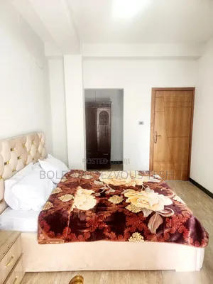 Furnished 1bdrm Apartment in Bole for rent