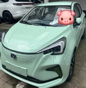 Photo - Changan BenBen E-Star 2024
