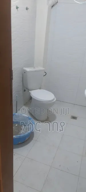 Furnished 2bdrm Condo in Ayat 49, 40/60, Yeka for rent