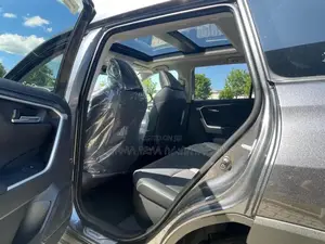 New Toyota RAV4 2024 Gray