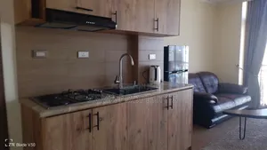 Photo - Furnished 1bdrm Apartment in Zema, Bole for rent