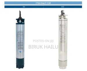 Franklin Submersible Encapsulated Pump With Motor