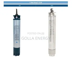 Franklin Submersible Encapsulated Pump With Motor