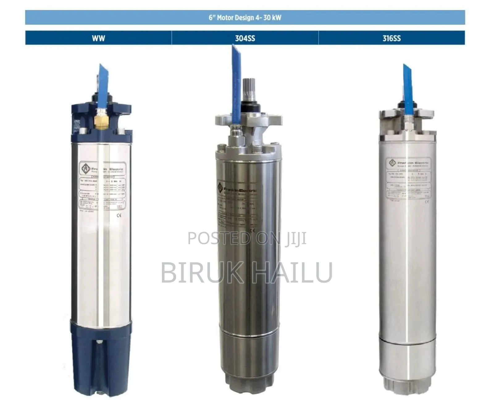 Franklin Submersible Encapsulated Pump With Motor