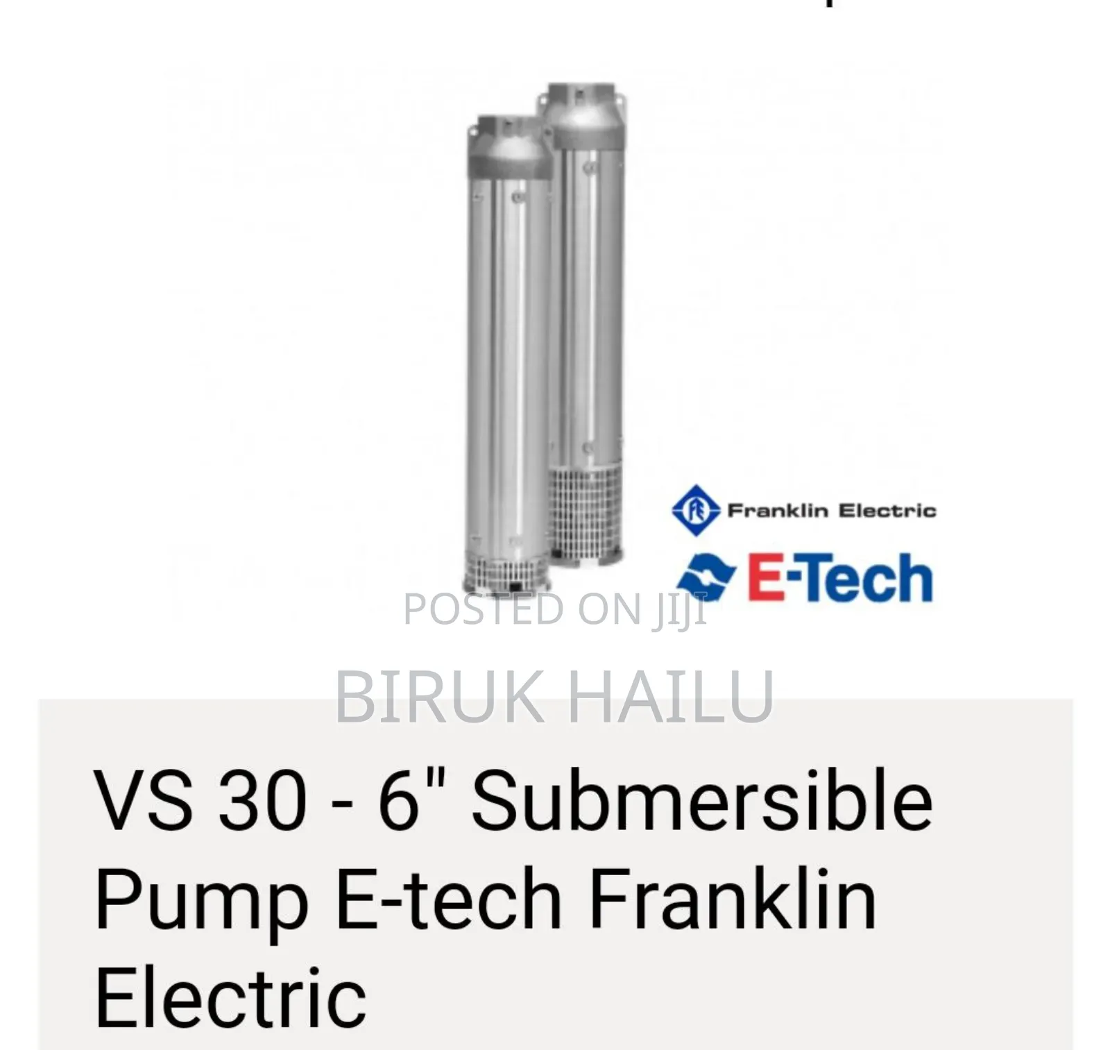 Franklin Submersible Encapsulated Pump With Motor