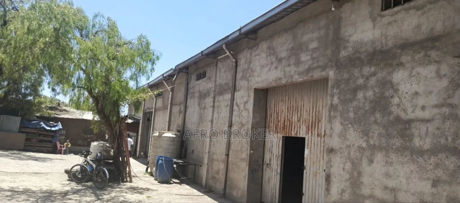 Coffee Bean Cleaning Machine With Wherehouse Sell