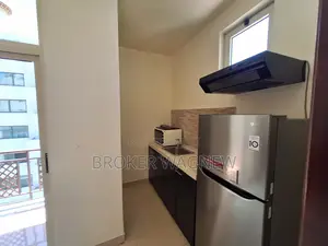Furnished 1bdrm Apartment in Bole for rent