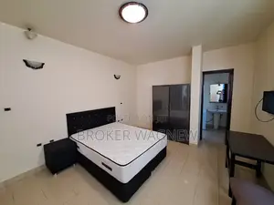 Furnished 1bdrm Apartment in Bole for rent