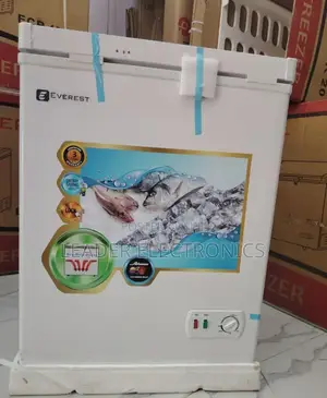 Photo - Everest Chest Freezer 200