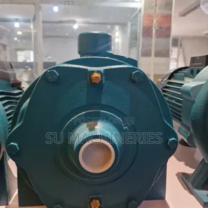 Photo - Leo Water Pump