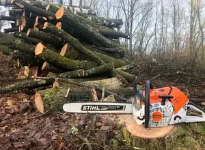 Stihl Chain Saw