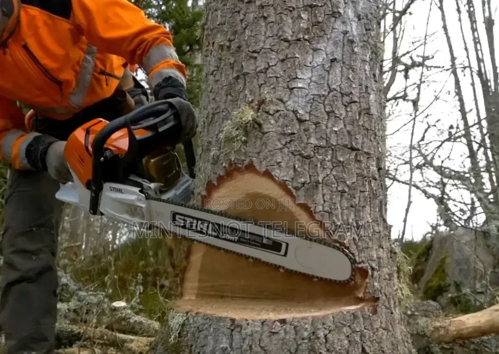 Stihl Chain Saw