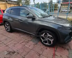 Photo - New Hyundai Tucson 2023 Gray