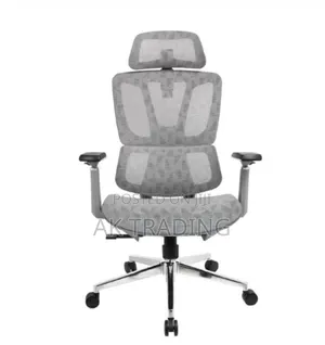Modern Ergonomic Chair