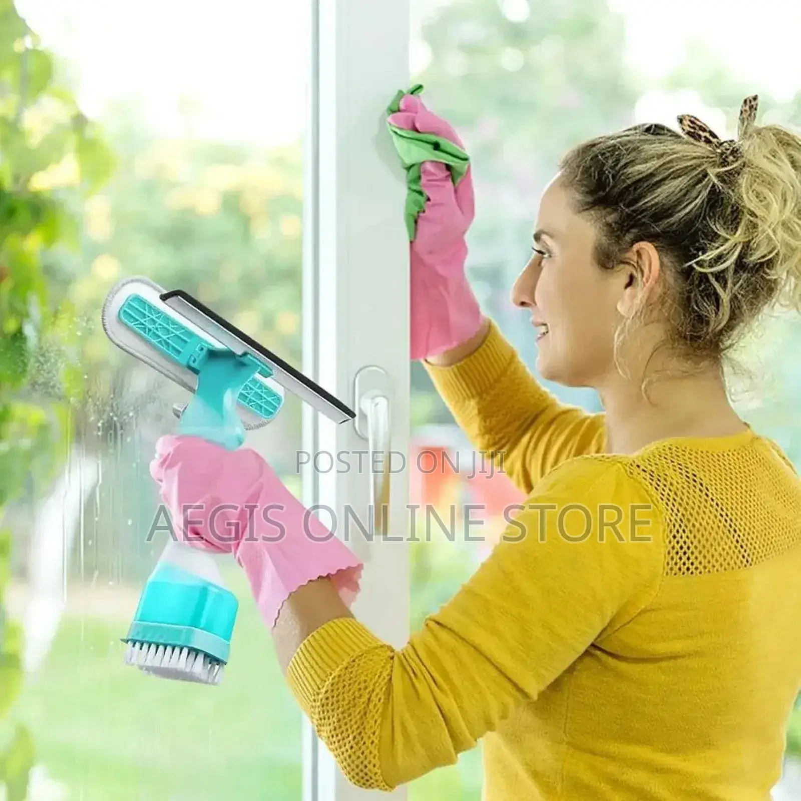 4in1 Spray Window Cleaner