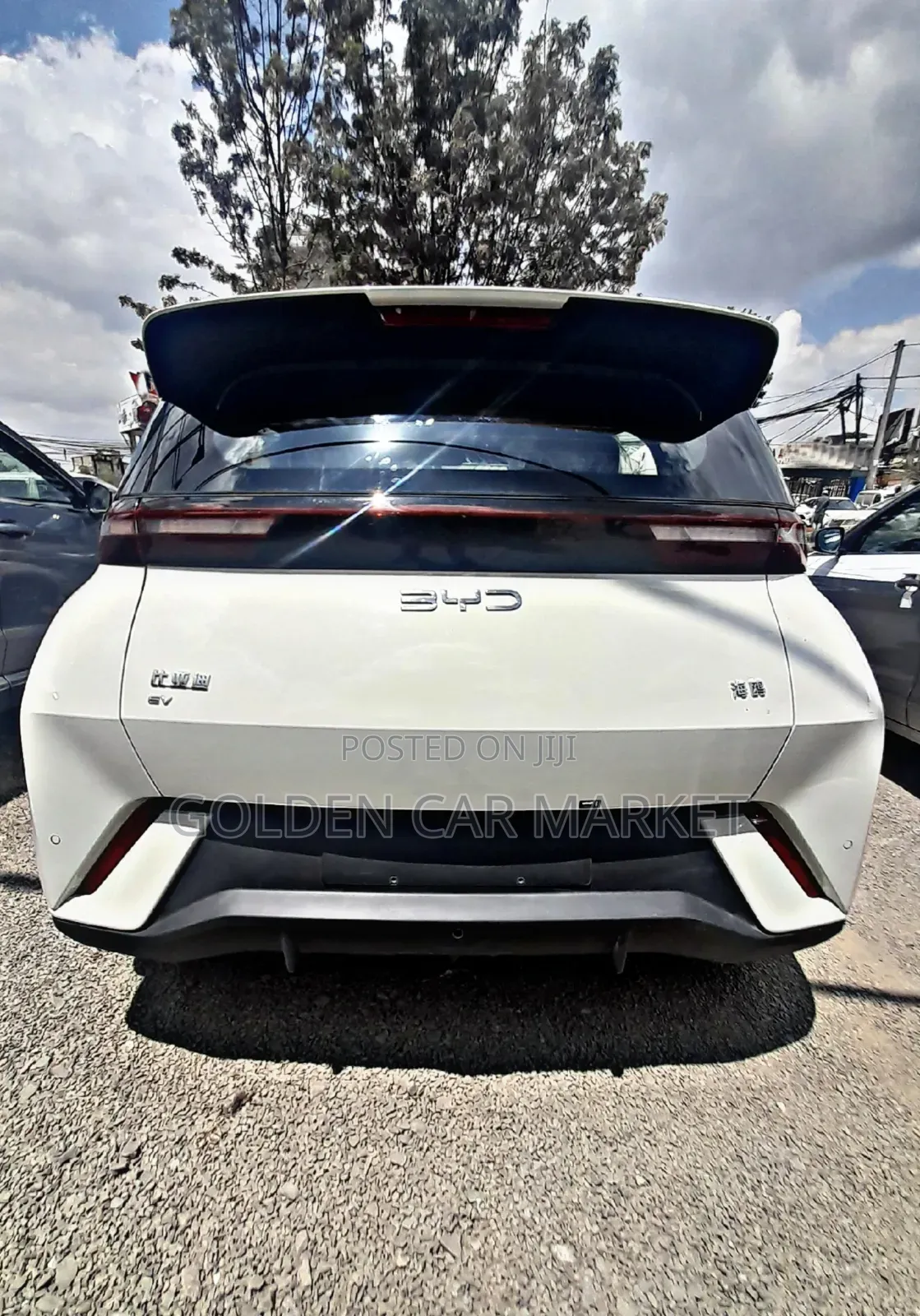 New BYD Seagull 2024 White