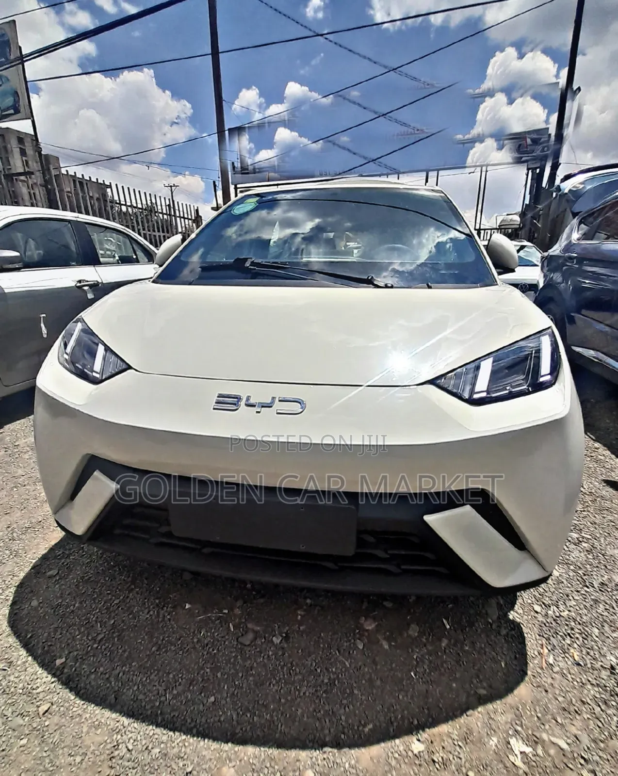 New BYD Seagull 2024 White