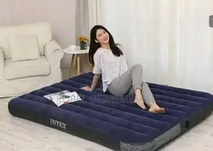 Intex Air Mattress