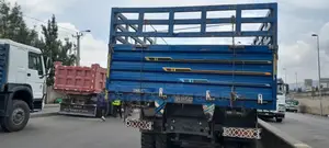 Cacion 2023. Model. 371