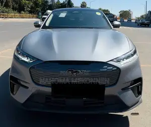 New Ford Mustang 2024 Gray